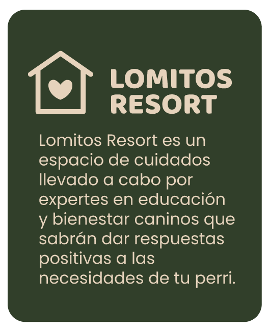 Lomitos Resort es un espacio de cuidados llevado a cabo por expertes en educación y bienestar caninos que sabrán dar respuestas positivas a las necesidades de tu perri
